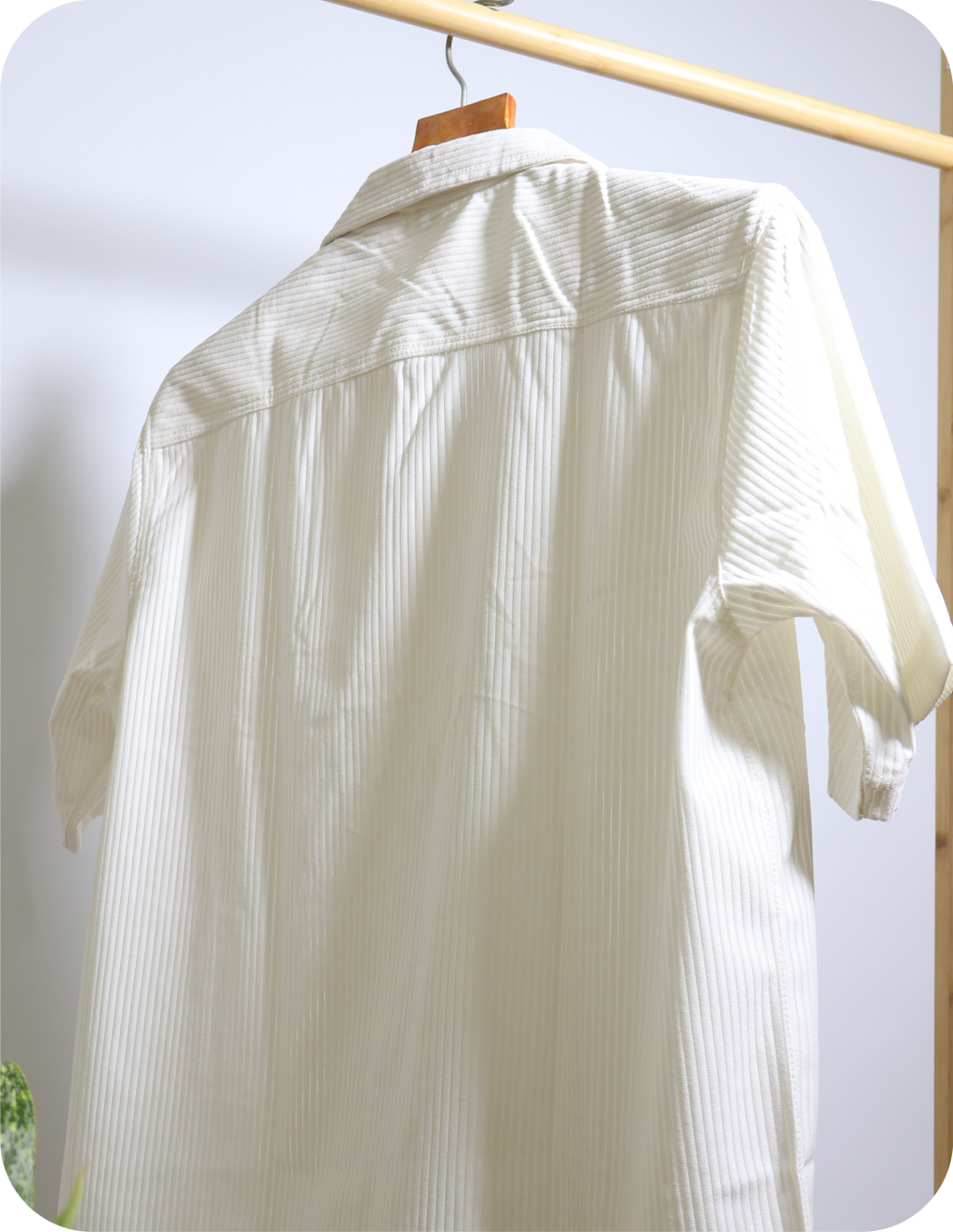 Original G, Shirt